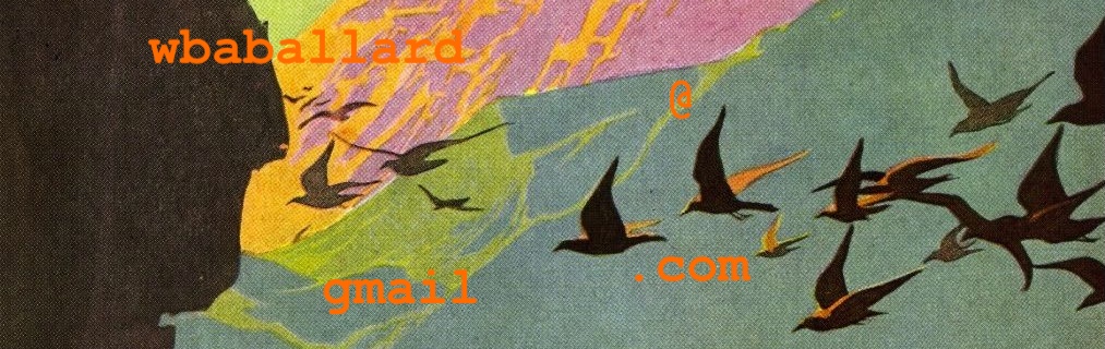 Contact header image